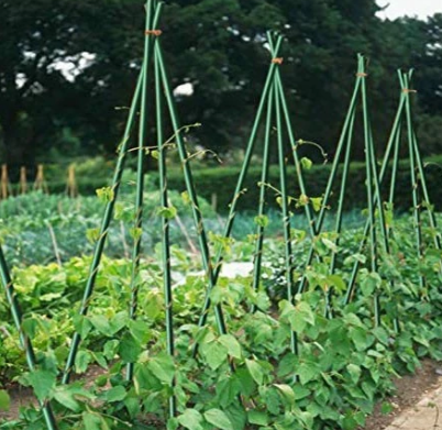 Garden plastic stick for plant stick