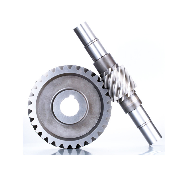 Factory manufacture direct customizable Stainless steel cnc turning parts worm gear shaft