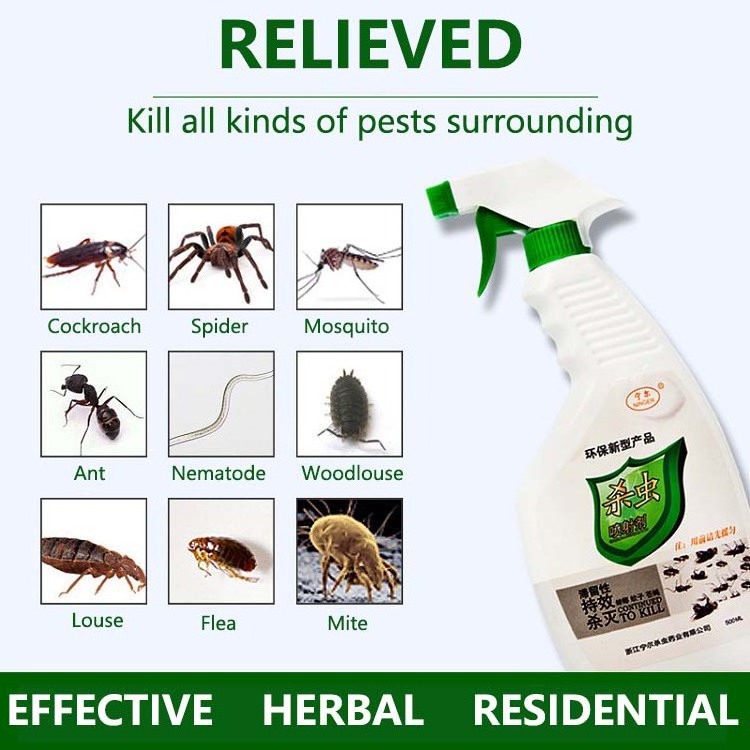 Powerful product indoor mosquito fly cockroach killer insecticide bedbug bed bug killer spray