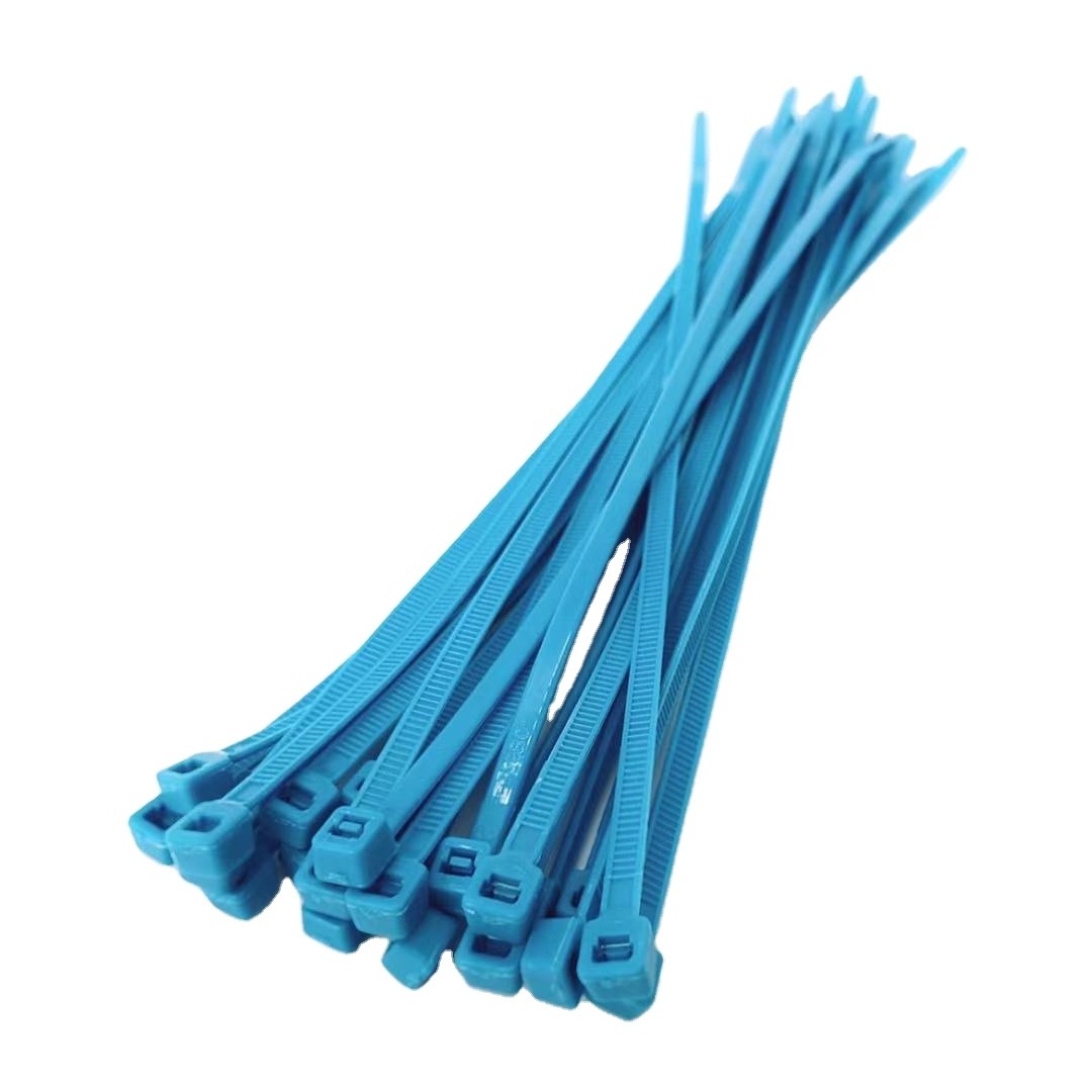 4.8x200 nylon cable tie tire supplier