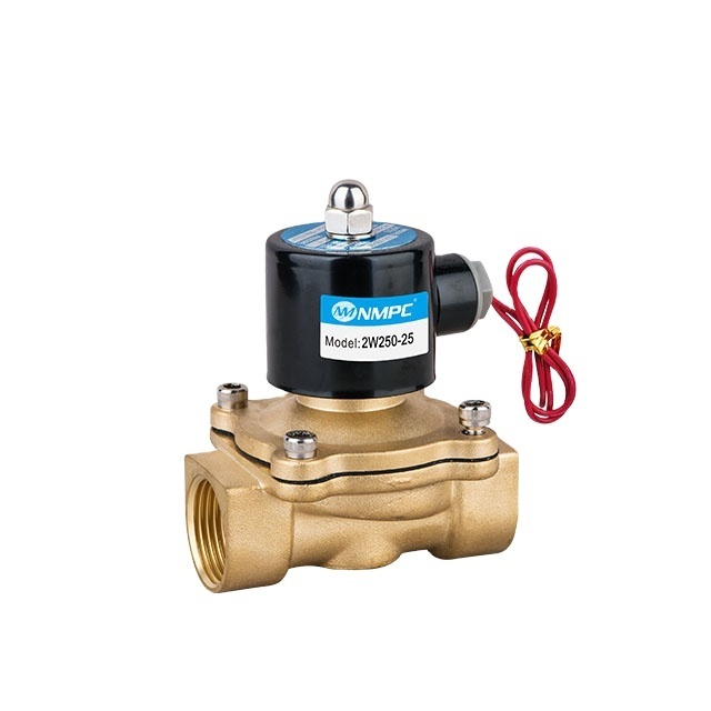 2W Series  Normally Open Closed Type  220V 24V 12v 2W025-06 2W025-08, 2W040-10 Direct Acting Electric Brass Water Solenoid Valve