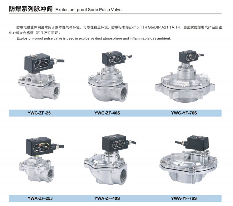 Manufacture DMF-Z-40S explosion-proof G1 1/2