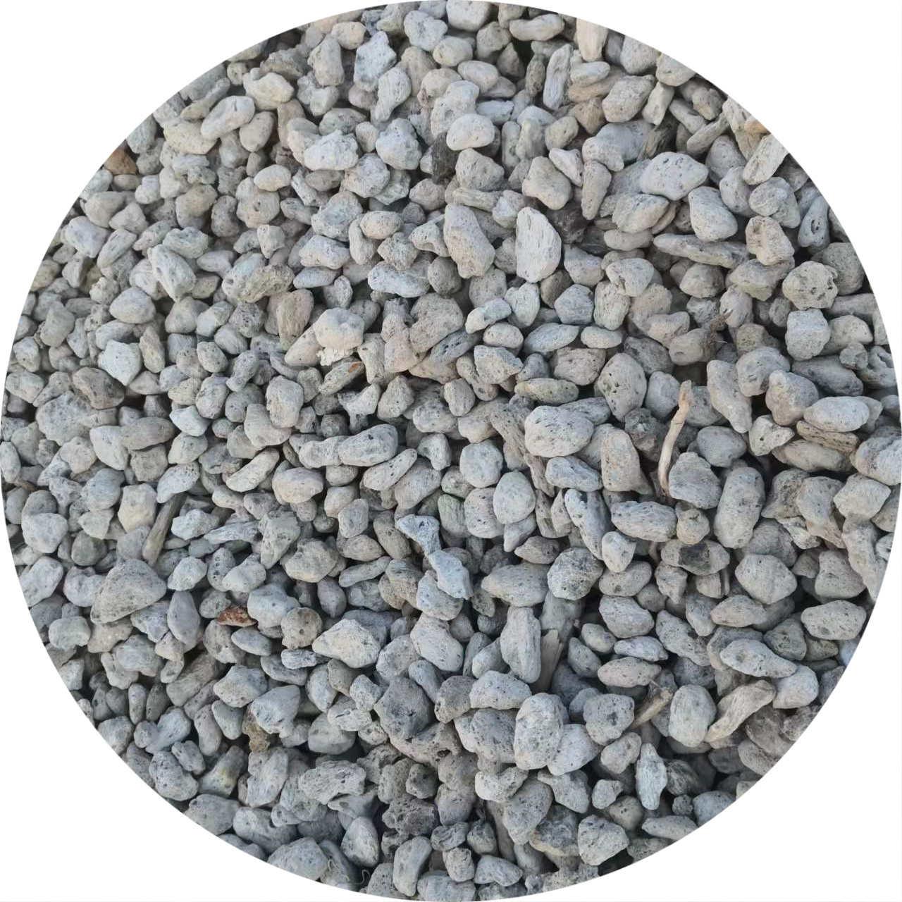 The ideal Soil Amendment Pumice for Plants Succulents