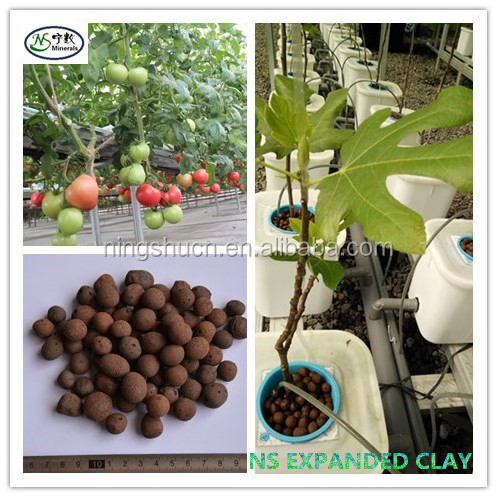 Excellent Growing substrate expanded clay for Hydroponics, aeroponic, Aquaponic planting stone