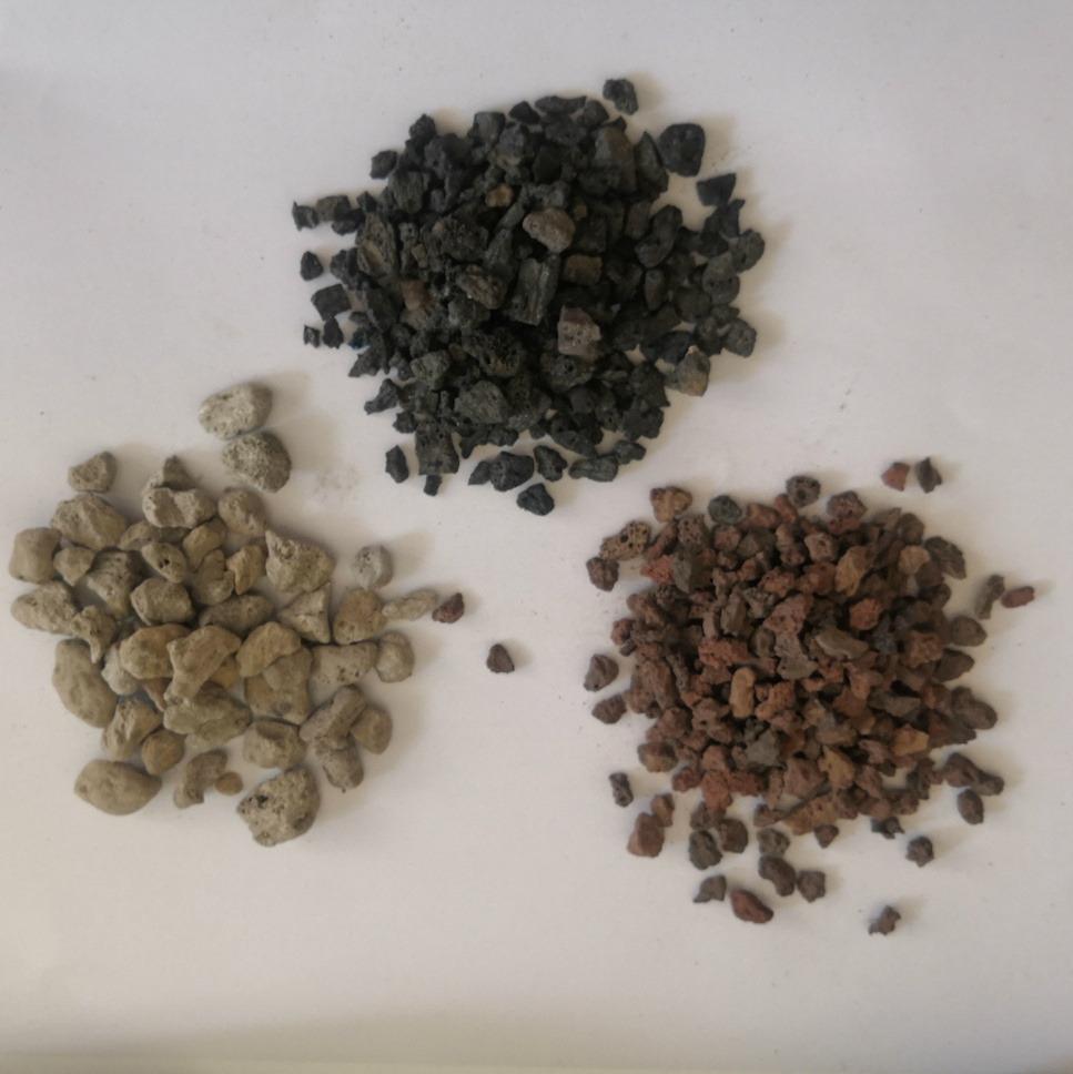 The ideal Soil Amendment Pumice for Plants Succulents