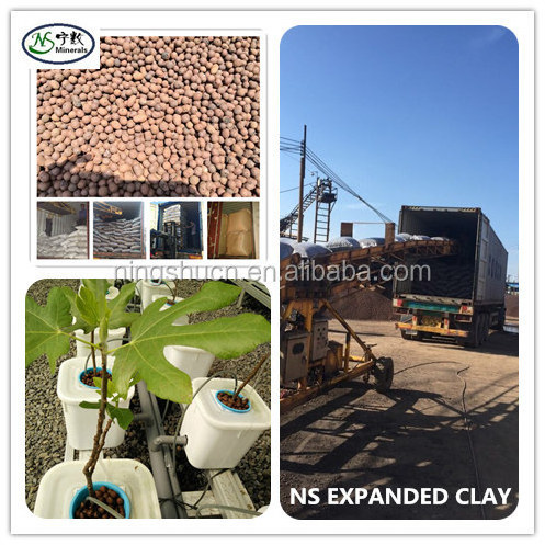 Excellent Growing substrate expanded clay for Hydroponics, aeroponic, Aquaponic planting stone