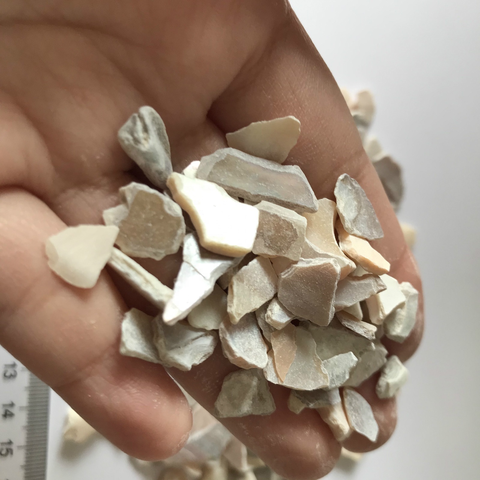 Crushed mother of pearl shell chips for terrazzo flooring