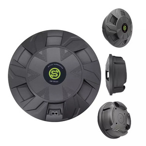 Factory directly spare tire subwoofer 12v competition subwoofer car with 10 inch bass speaker