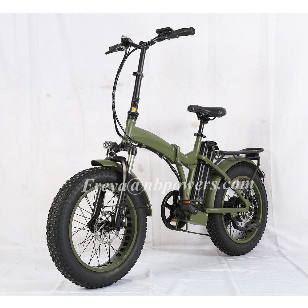 Popular Snow beach electric bicycle 48V 500W 1000w Top Quality 20