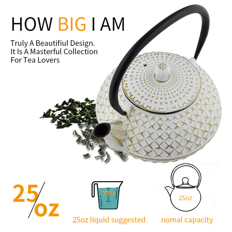 800ML Enamel Coin Cast Iron Teapot Tea Kettle with Infuser