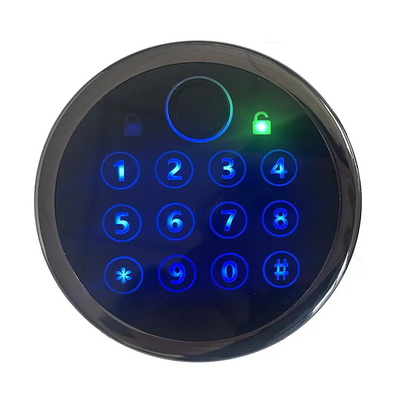 New Arrival  Biometric  Fingerprint Electronic Lock For Safe Safe box Lock Parts