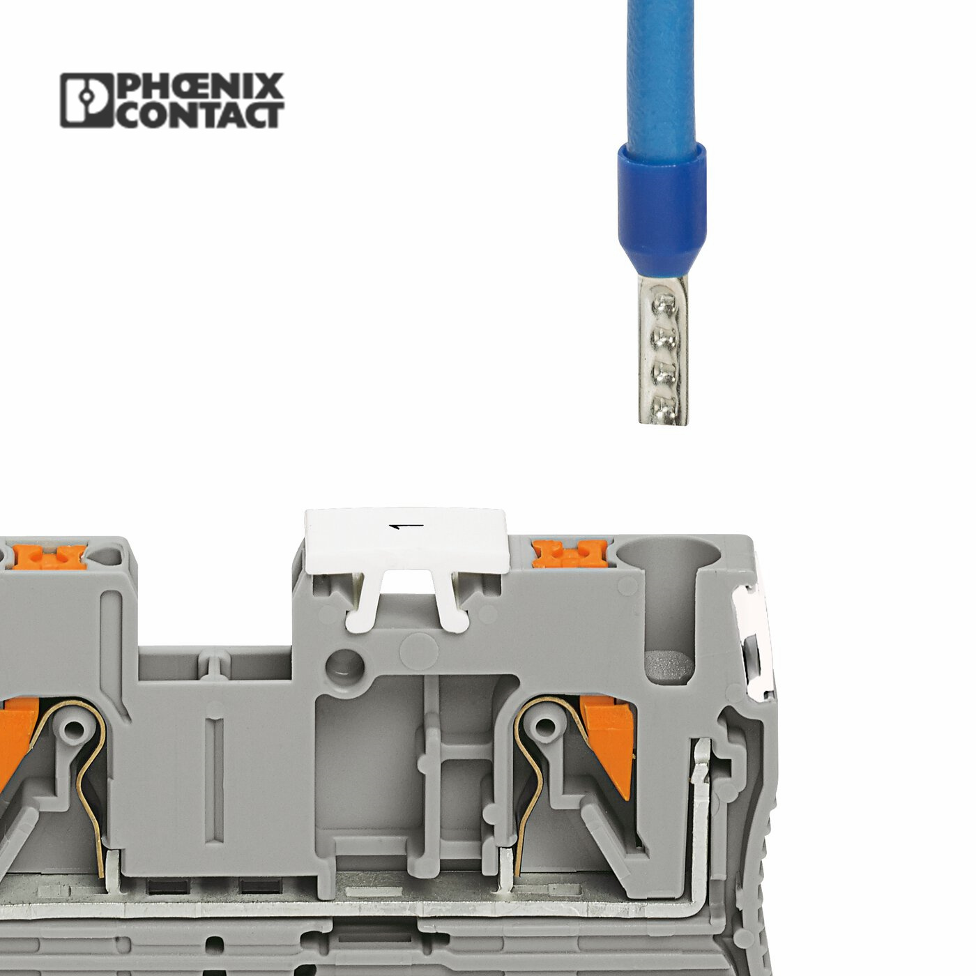 Phoenix Contact Feed-Through PT 2.5-QUATTRO Terminal Block/ Buy 3209578 Pt Din Rail Terminal Block