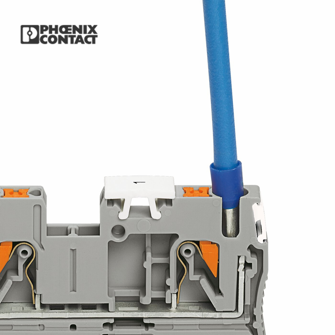 Phoenix Contact Feed-Through PT 2.5-QUATTRO Terminal Block/ Buy 3209578 Pt Din Rail Terminal Block