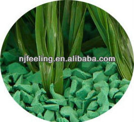 cheap recycled rubber granules infilling the artificial grass FN-I-24032803