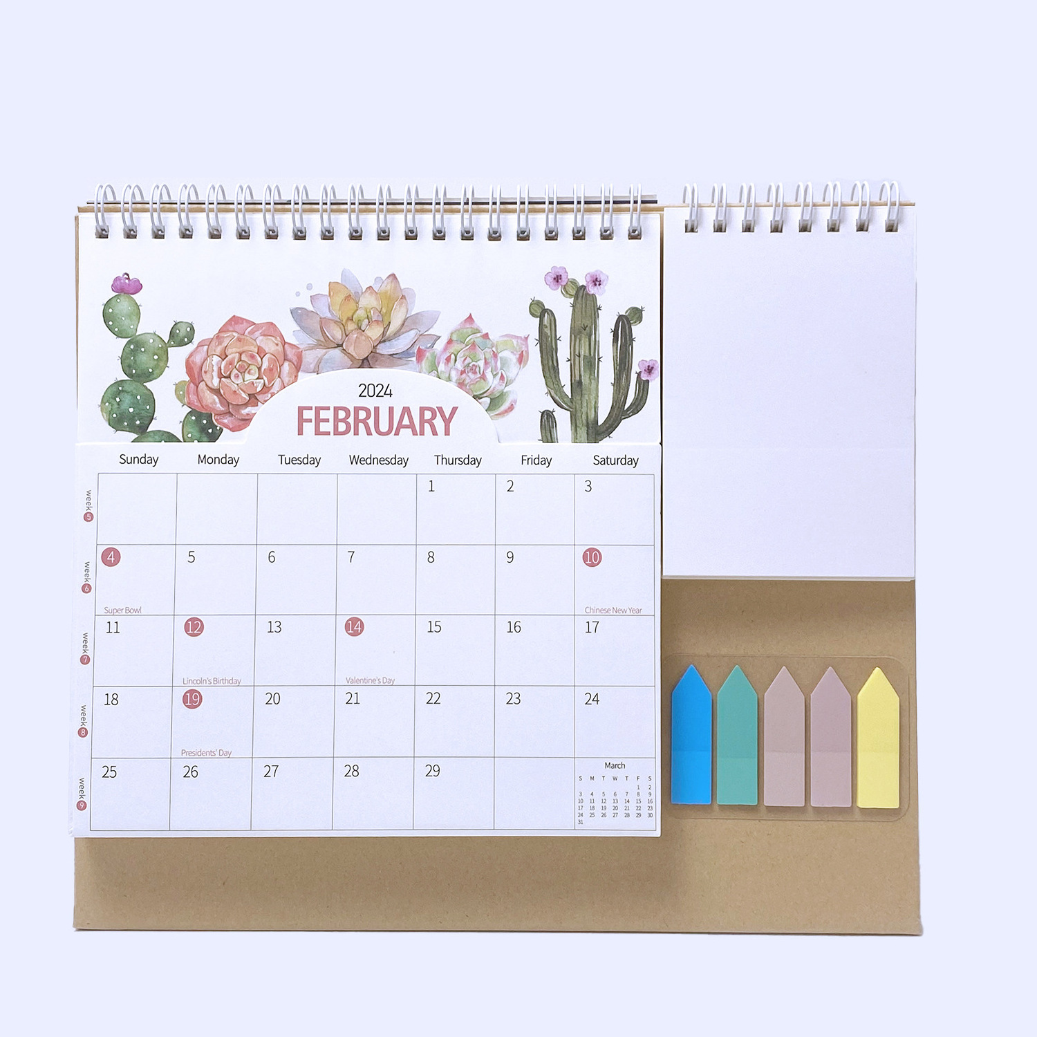 2024 Custom Printing Desk Calendar Mini Daily 365 Days Calendar Tear Off