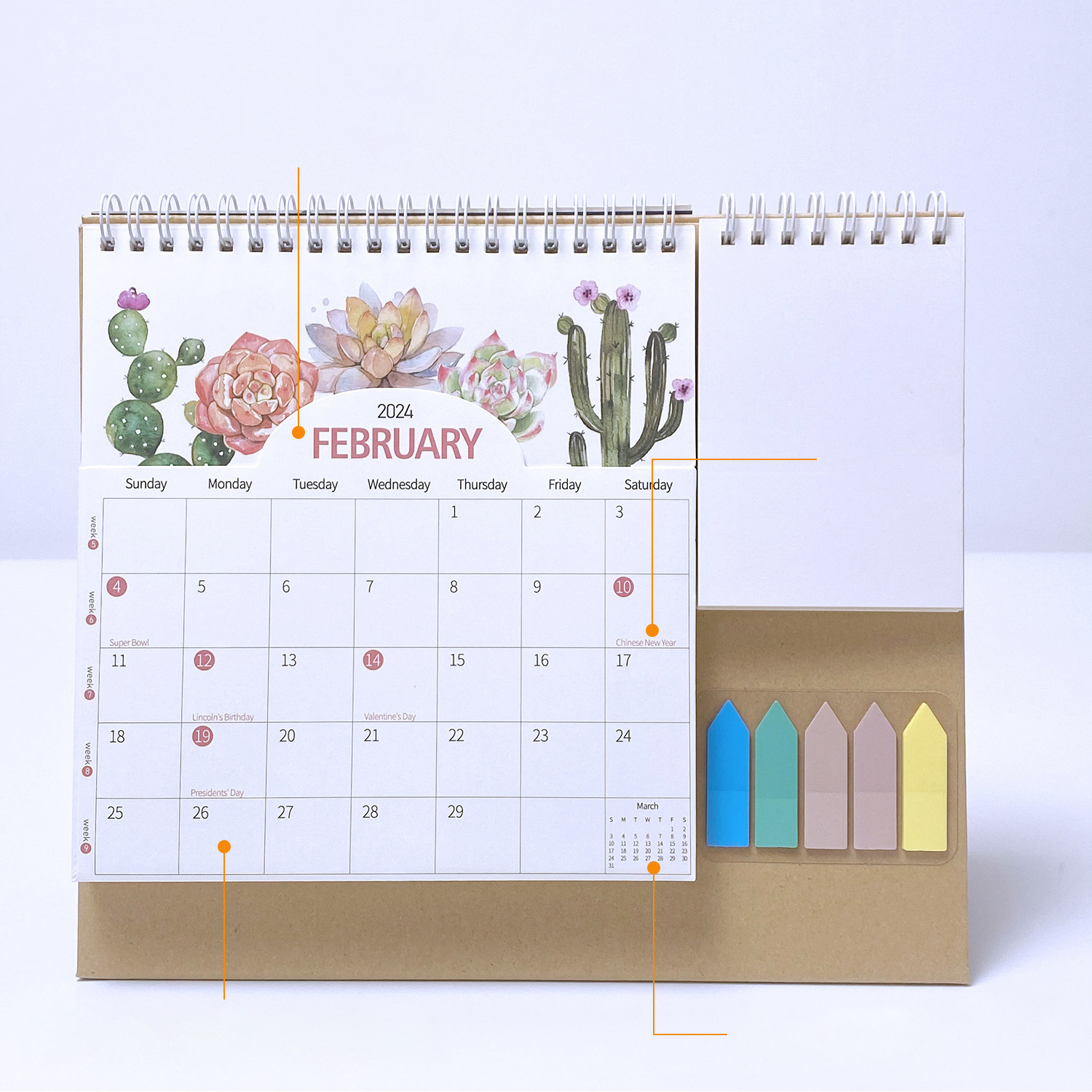 2024 Custom Printing Desk Calendar Mini Daily 365 Days Calendar Tear Off