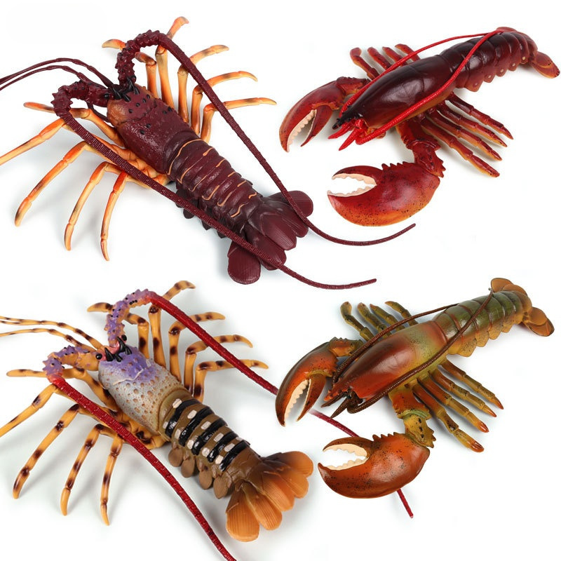 Artificial Cognition Of Ocean Bottom Life Animal Toy Model Wild Large Lobster Hermit Crab Mantis Shrimp