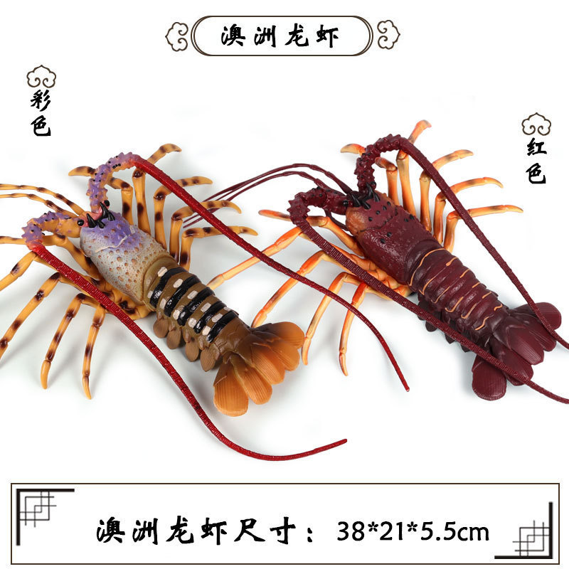 Artificial Cognition Of Ocean Bottom Life Animal Toy Model Wild Large Lobster Hermit Crab Mantis Shrimp