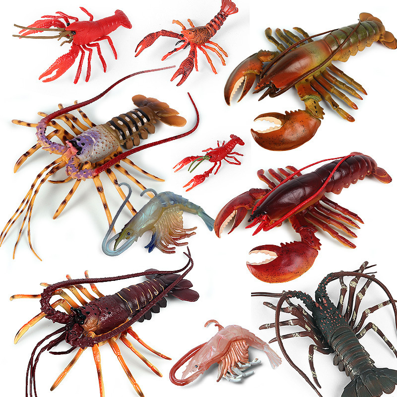 Artificial Cognition Of Ocean Bottom Life Animal Toy Model Wild Large Lobster Hermit Crab Mantis Shrimp