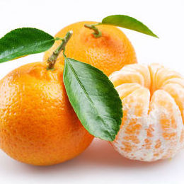 Wholesale Fresh VALENCIA Orange/ NAVAL ORANGES /   Sweet Orange ready for Export