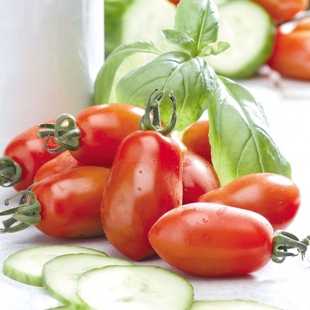 Competitive Price Bulk Fresh Tomatoes