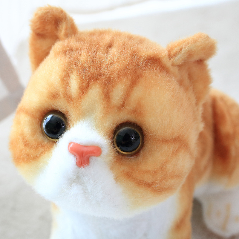 Cozy Plush Dolls KT Cat Doll Cat Cute Plush Toys Super Cute Kitty