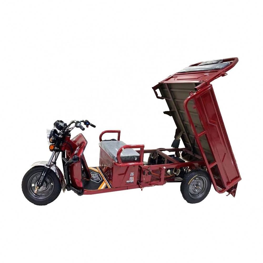 Best Price Come E Bike Cargo Three Wheel With 2 Seat Roof And Canopy Electric Motorcycle