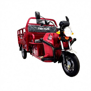 New Design A Three Wheel Bike King Lion Motorcycle Conversion Kit 12 Inch 16Lnch Adult Electric Tricycle