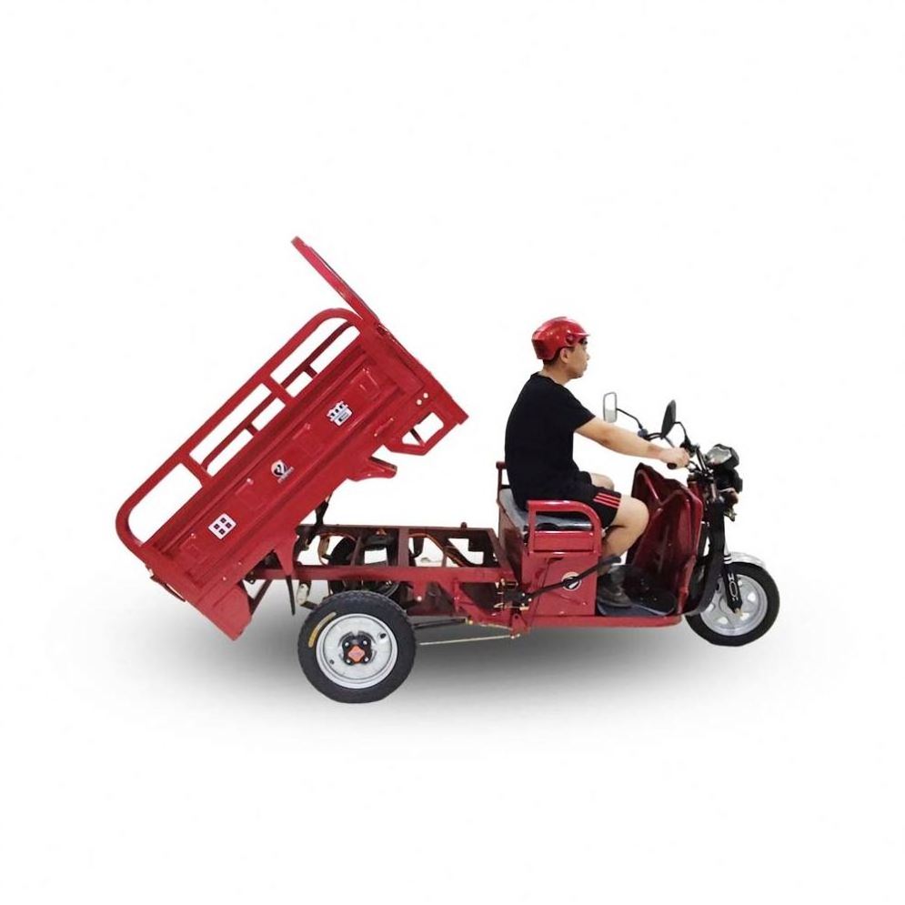 Top 58AH Electric Tricycle 600Cc Trike Scooter For Cargo