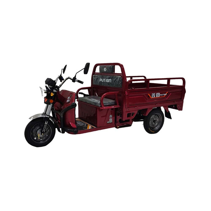 Genuine Trailer Bike Three Wheel Frame 3 Trike Engine From Advertising Cargo Tricycle For Electric Motorcycle