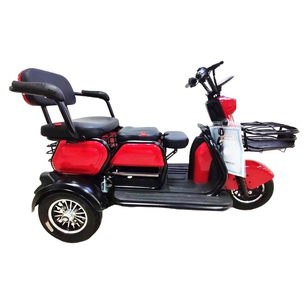 Hot Sell Eec Electric Bike Sidecar 2 Wheel Unfoldable tricycle for elderly use