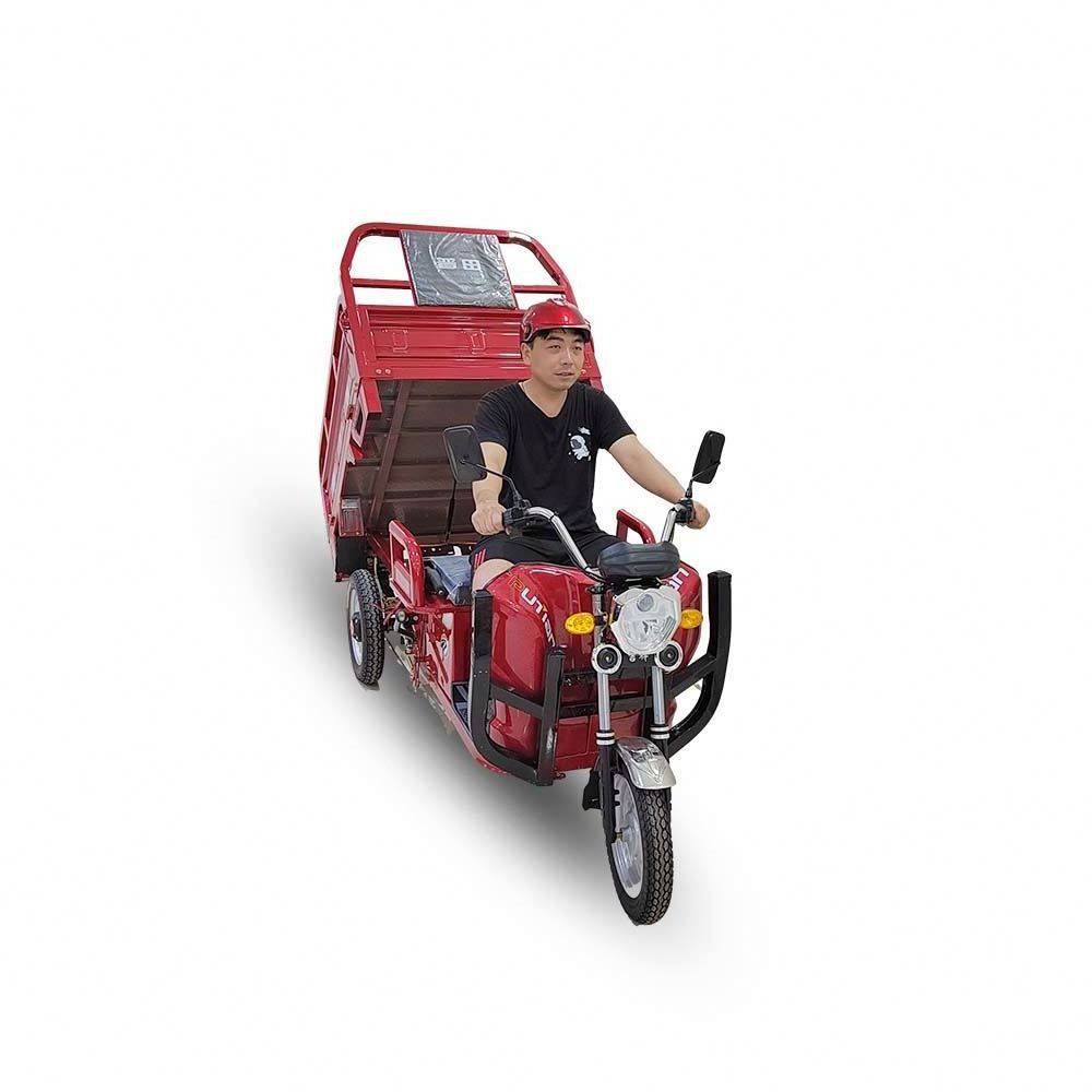 Good 200KG Electric Tricycle Trike Scooters 500Cc For The Passenger Adult