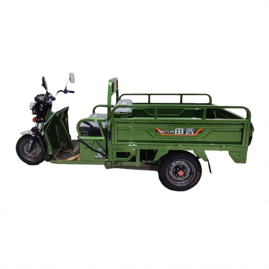 Good Selling Tricycle Cargot Cargo Truck 35 Ton Shineray Philippine 3 Wheel Electric Pedicab