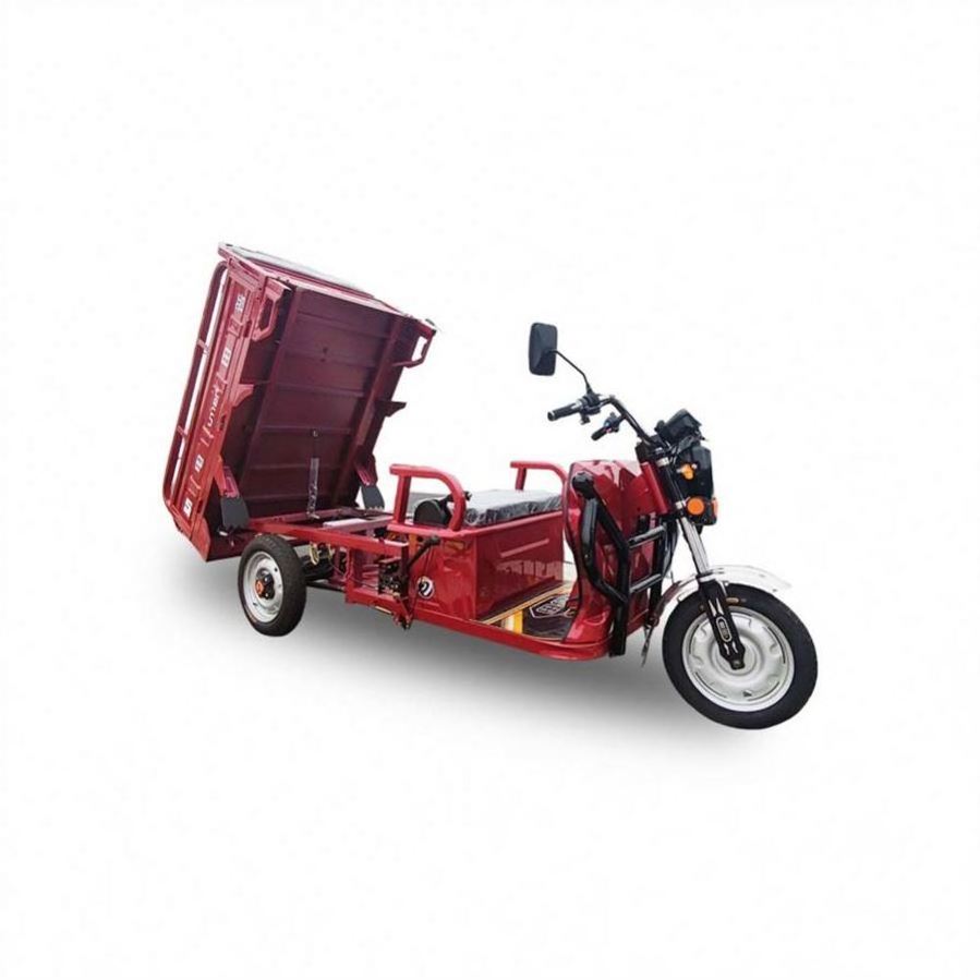 Easy CCC Motor Tricycle 250Cc Trike Scooters For Sale