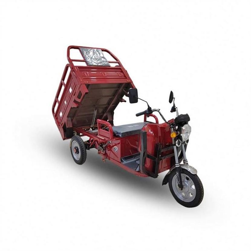 Top 58AH Electric Tricycle 600Cc Trike Scooter For Cargo