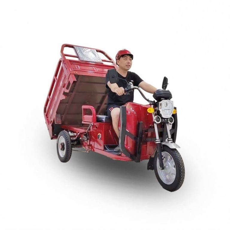 Wholesale 800KG Triciclo Scooter Trike Conversion Kit With Manufacturers Custom-Made