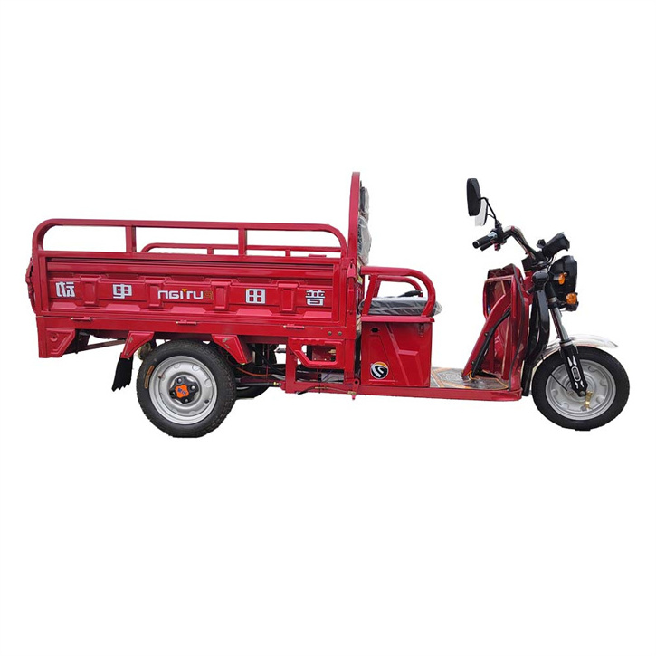 In Stock Hot Sell Cargo Sale Tipper Adult Three Wheel Heavy Duty Trike Pedicab Truck Electric Tricycle Bicycle