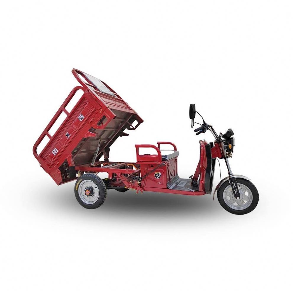 Wholesale 800KG Triciclo Scooter Trike Conversion Kit With Manufacturers Custom-Made