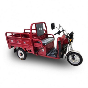 OPEN Electric CKD Motor Tricycle Gas Drift Trike With New Design