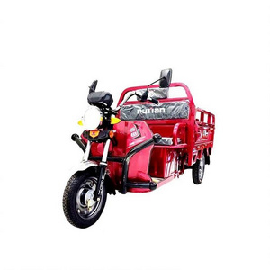 Fashion Tricycle Price Three Wheel Ebike 3 Utility Vehicle 2 Seater Car T Rex Bike Helm Motor Electric Motorcycle