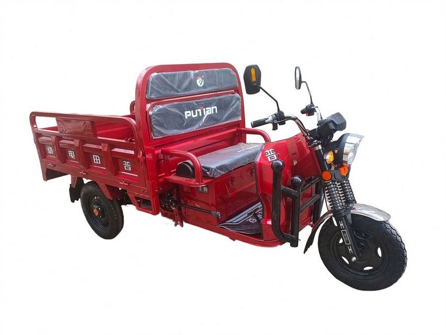 Top And Cheap Hydraulic Shock Absorber 3 Wheels Cargo Bike For Family Used Electric pedicab for sale cheap