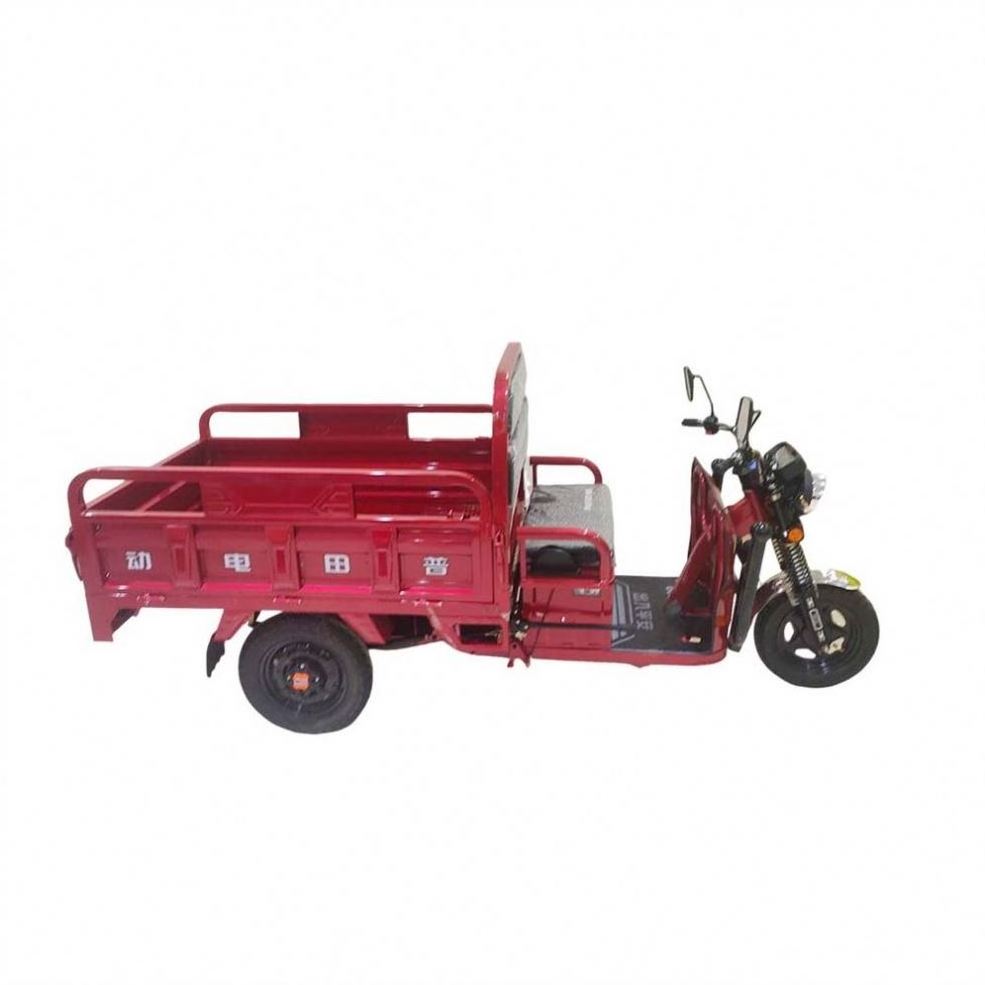 Mini Electric Integrated Shifting Rickshaws For Sale Usa Auto Rickshaw for women use