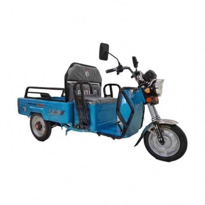 Hot 66AH Trike Reverse 3 Wheel Bikes For Sale