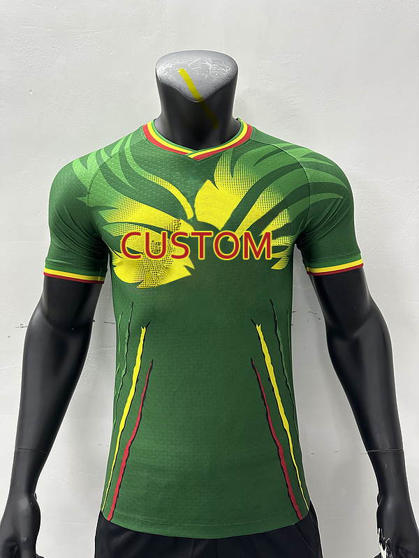 Custom Thai Quality Club Soccer Jersey Mali Home/Away 23/24 Africa Cup Football Shirt Mens High Quality Football Jersey