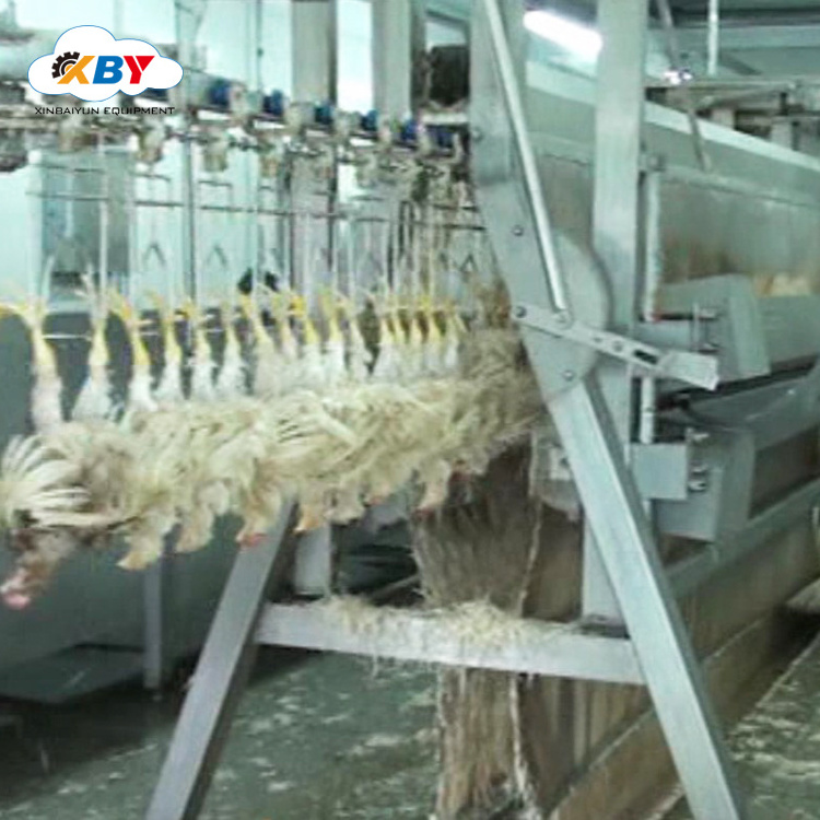 Poultry Processing plant/ chicken killing machine and plucker equipment