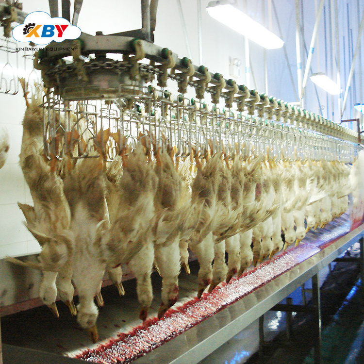 Poultry Processing plant/ chicken killing machine and plucker equipment