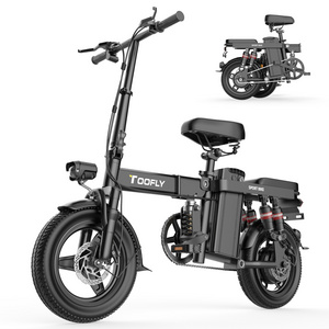 2024 hot selling customized 2 wheel fat tire electric bicycle with sidecar for adults