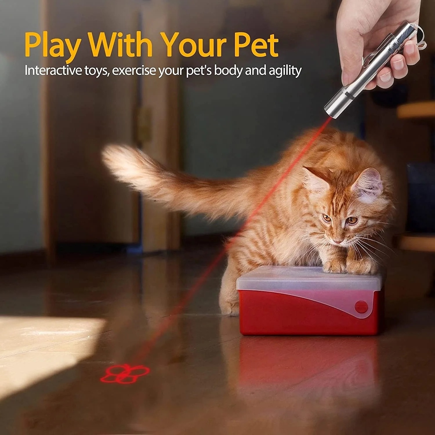 5 Patterns Ultraviolet Light Usb Charging Rechargeable Small Exquisite Interactive Cat Laser Pointer Interactive Toy For Cats