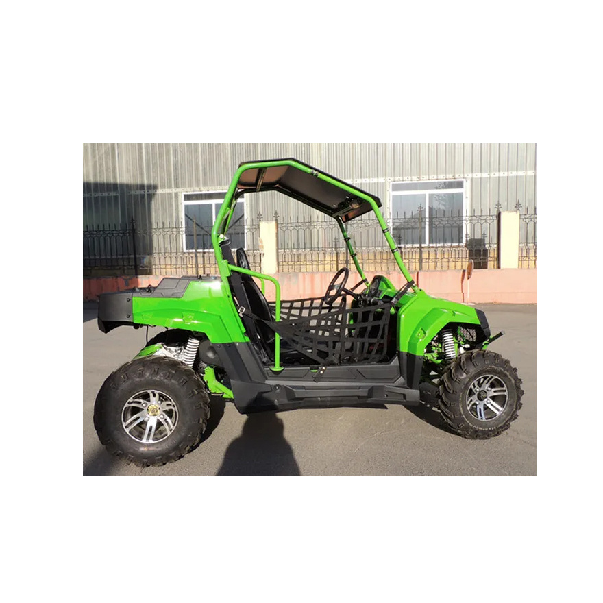 Powerful 150cc 250cc gasoline UTV 4 wheeler Quad bike