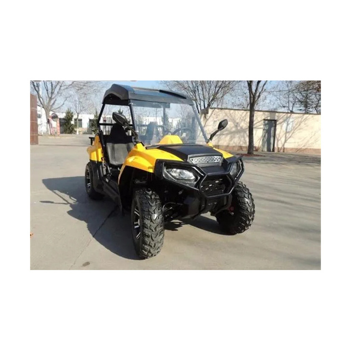 Powerful 150cc 250cc gasoline UTV 4 wheeler Quad bike